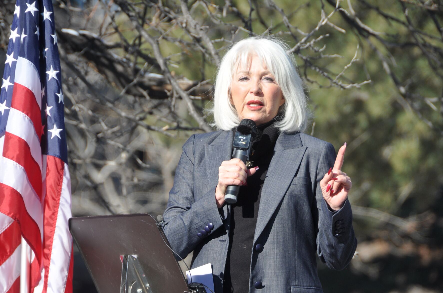 Tina Peters Save Colo Project